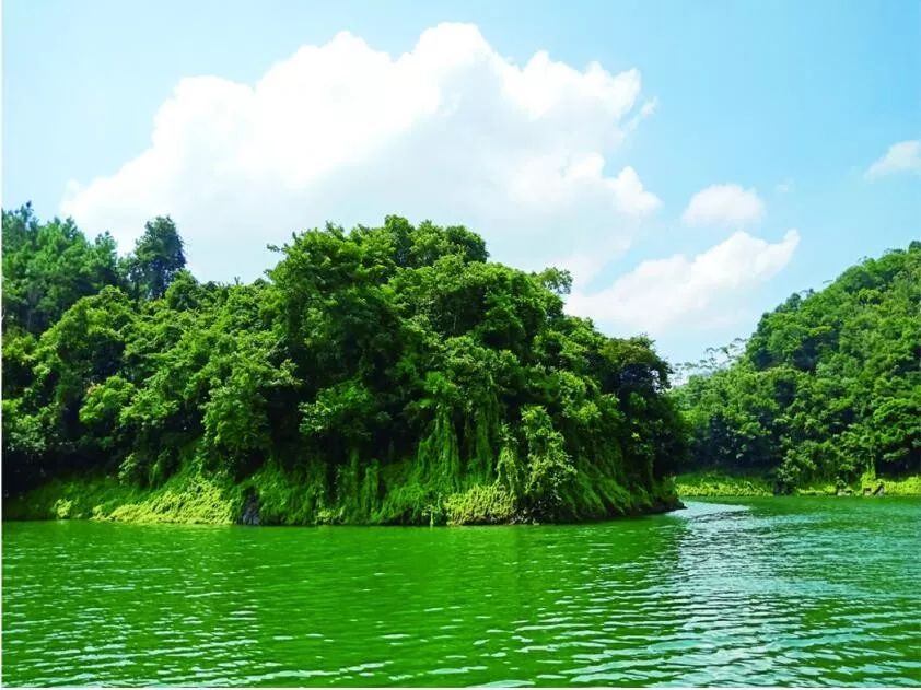 阳春花滩森林公园了解一下