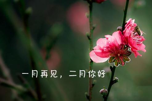 再见1月你好2月不念过往不惧将来