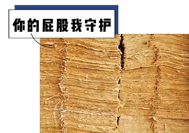 擦屁股的东西扔纸入坑的习惯也就养成了都是顺手扔进便槽公厕几乎没有