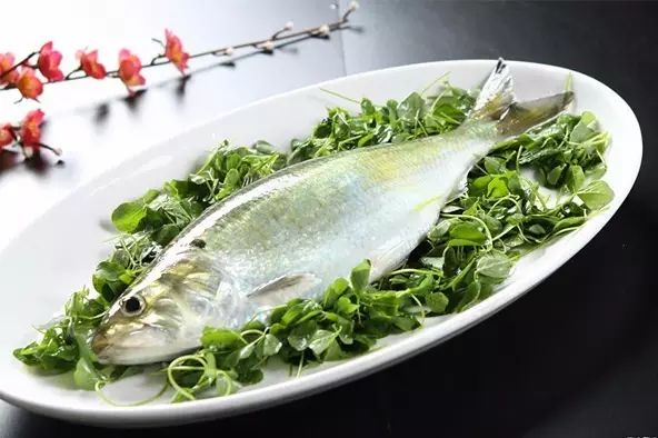 无法按时回家的鲥鱼背后是伤痕累累的长江