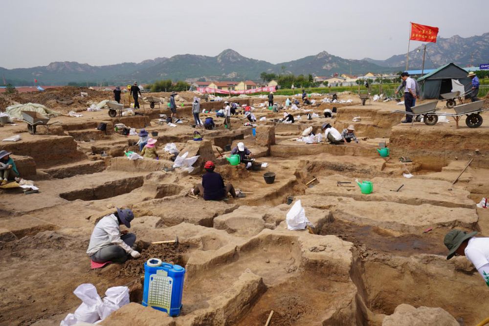 9万平方米!日照这个遗址参评"全国十大"!