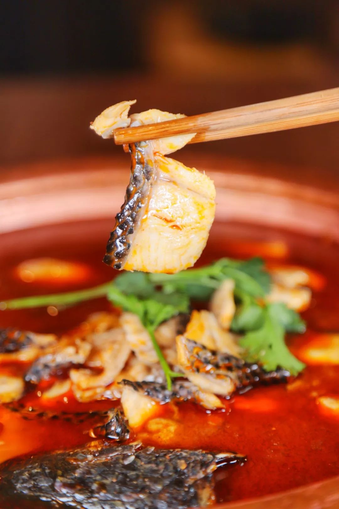 河东这家黑鱼火锅要疯了!|黑鱼|鱼片_新浪网