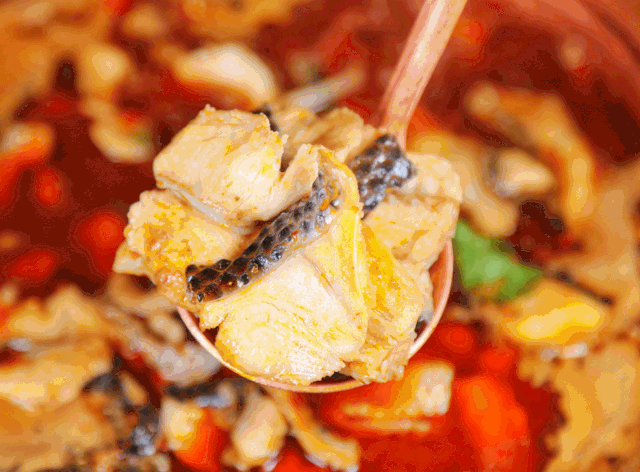 640_472gif 动态图 动图