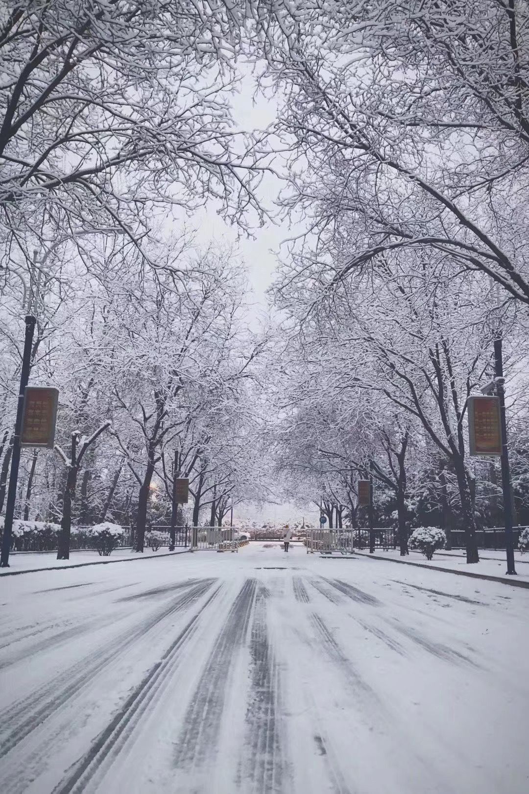 2020年的第一场雪,来了!
