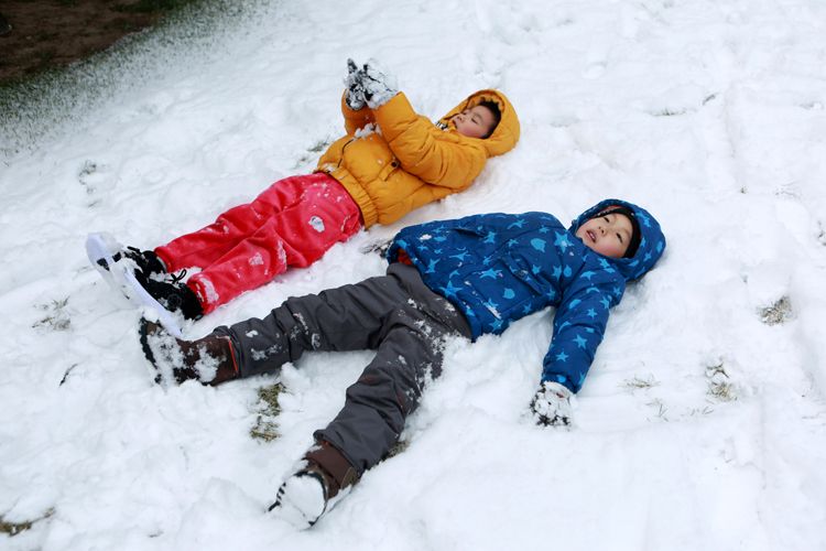 2020初雪(七)雪地里撒欢儿