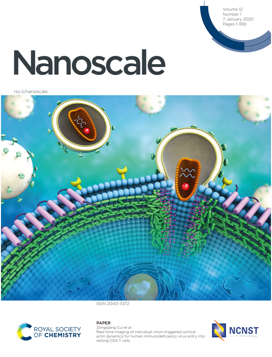 研究成果发表在国际学术期刊Nanoscale