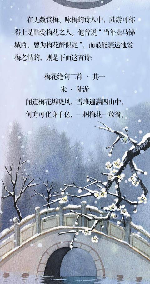 梅花先趁小寒开,到诗词里踏雪寻梅