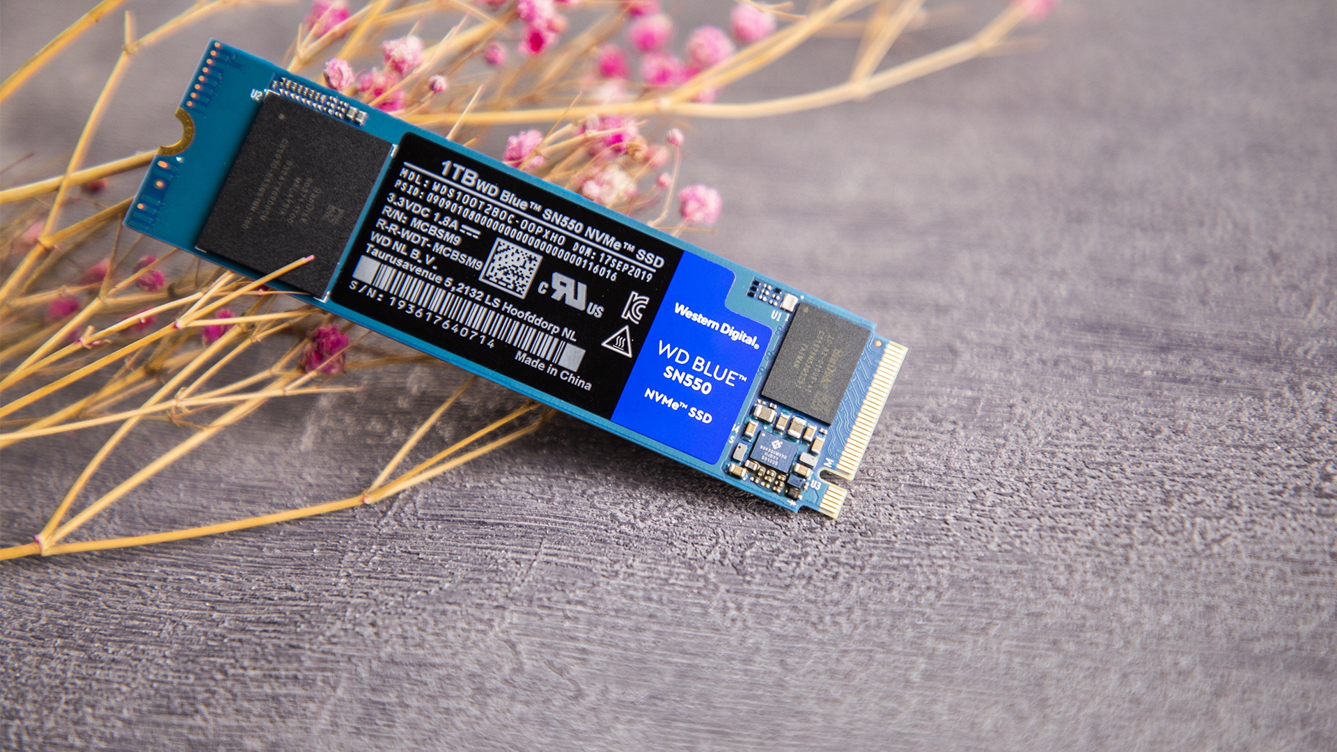 性能提升超过40% 全面升级的西部数据wd blue sn550 ssd