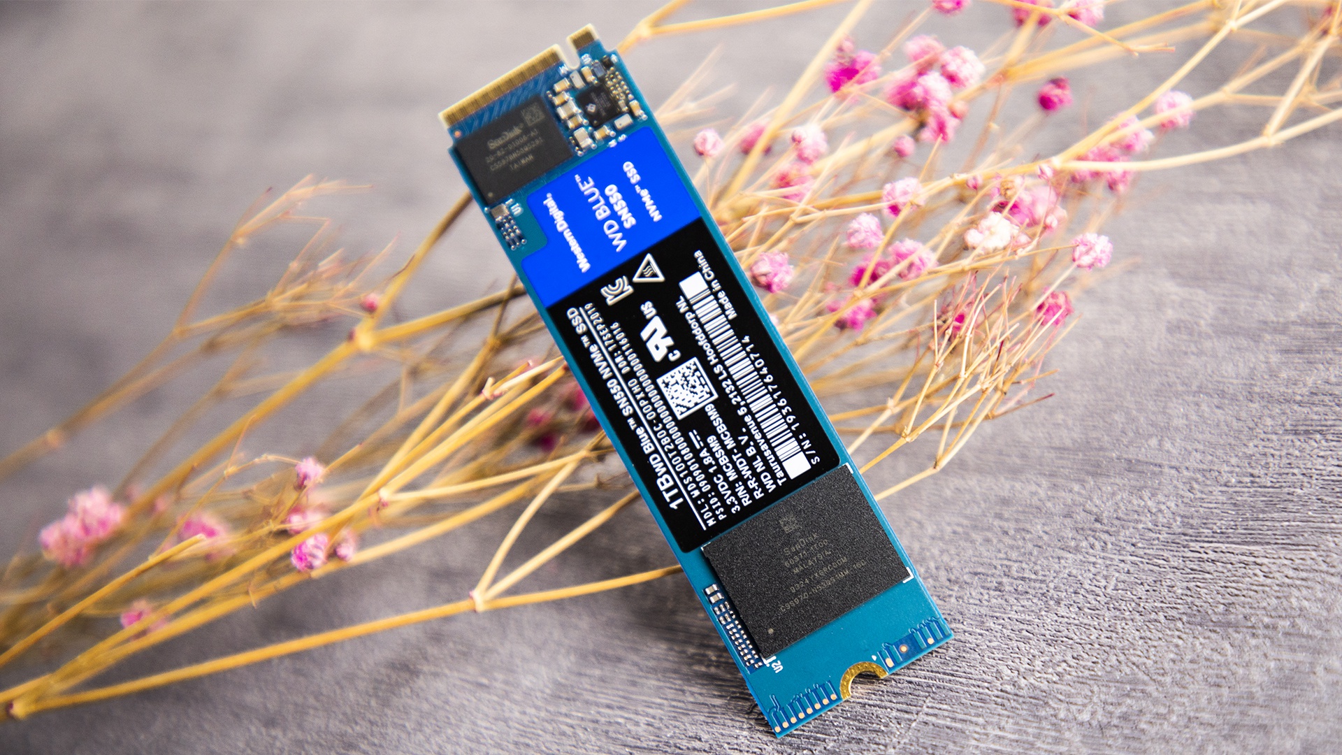 性能提升超过40全面升级的西部数据wdbluesn550ssd