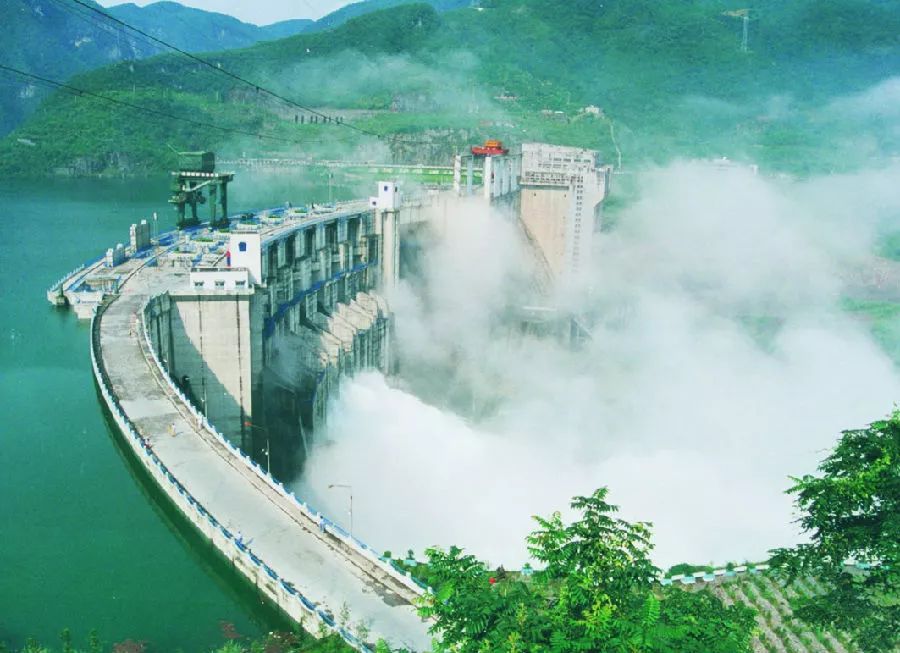 白鲟离开长江生机如何再现