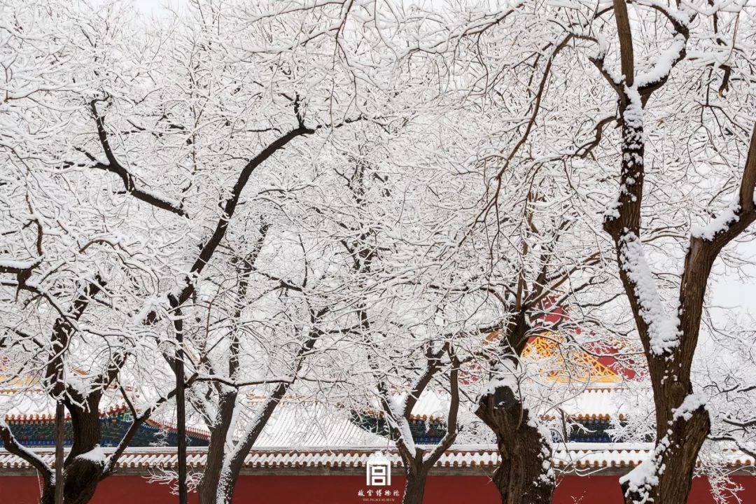 △2020年故宫雪景 摄影/张林 来源/@故宫博物院