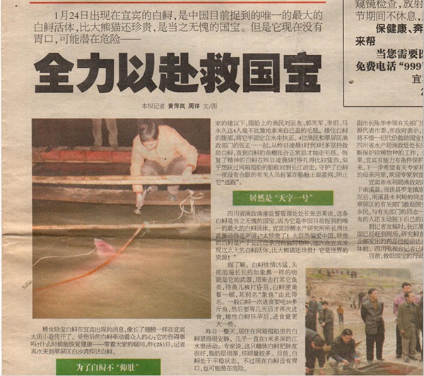 钟倩保存着当年的报道。