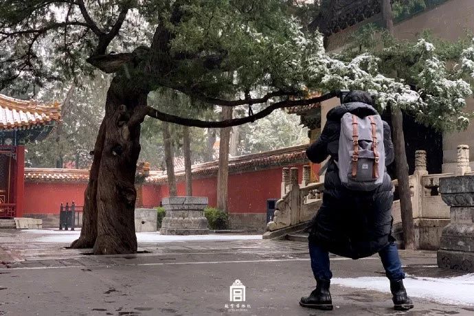 在故宫上班是种什么体验?那些刷屏的美照是他拍