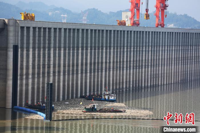 三峡大坝前漂浮物全部打捞上岸进行无害化处理（资料图） 王罡 摄
