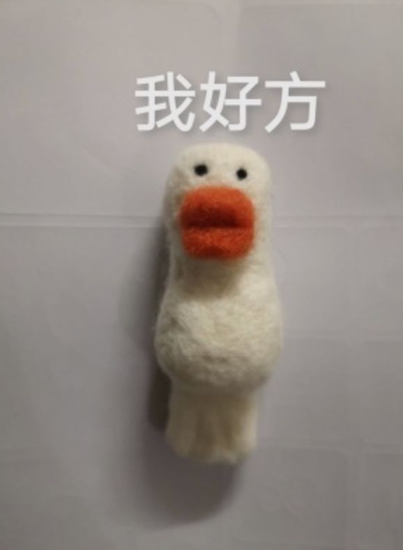 史上最惊心动魄的买家秀，我默默删掉了购物车……