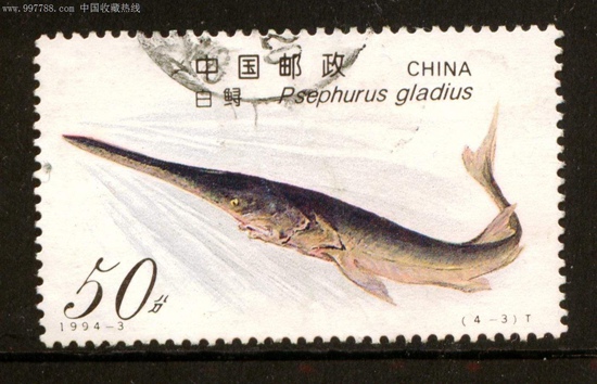 以白鲟为主题的邮票。