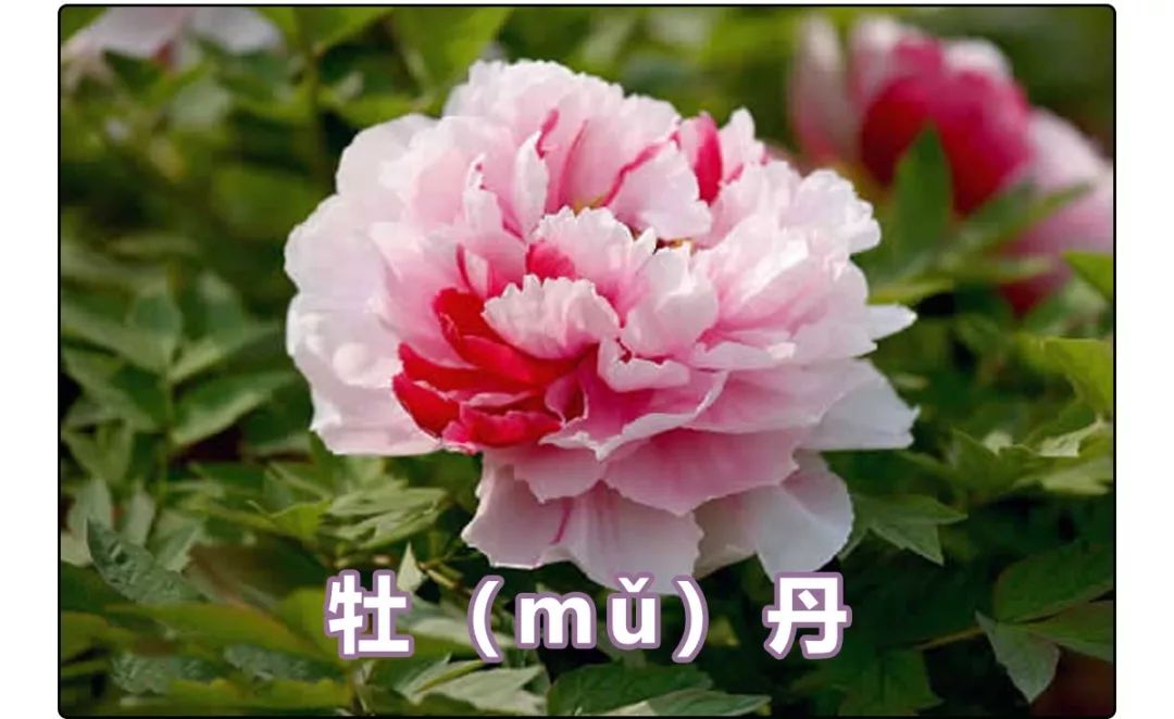 于勒说得口齿清晰你永远没法把这个词大概是嘴动不了的感觉怎么说呢