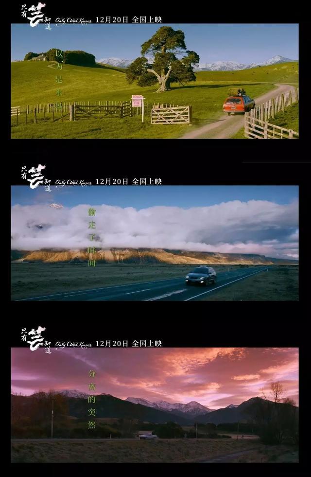 冯小刚新作《只有芸知道》取景地,每一帧都很美