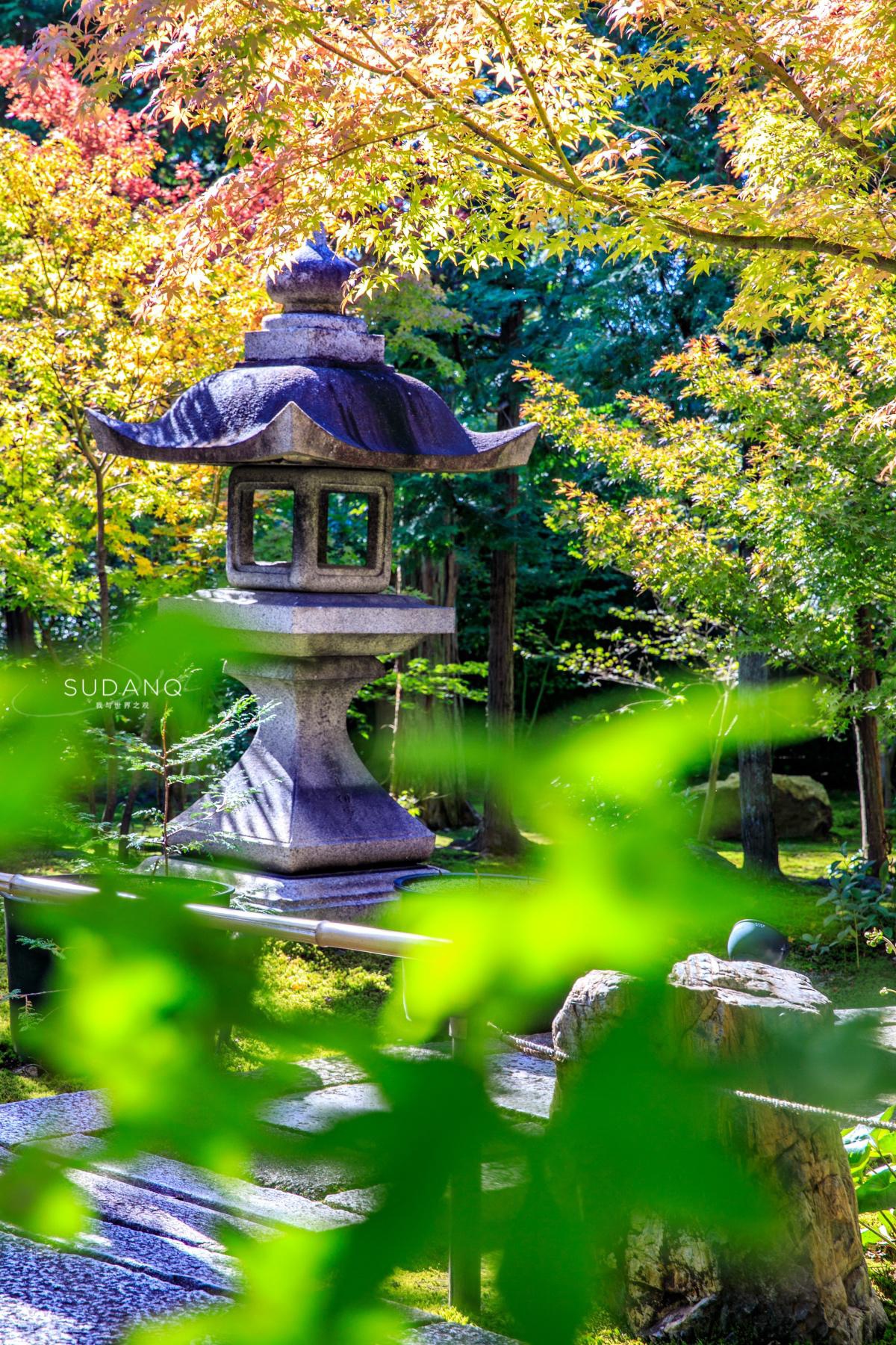 日本小众景点推荐:京都胜林寺,来自中国的禅宗美学令人赞叹