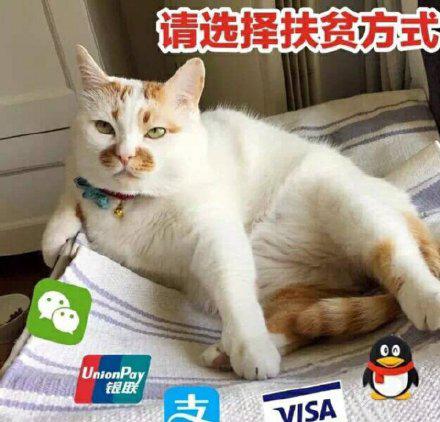 向父母讨钱的表情包合集妈给点钱呗