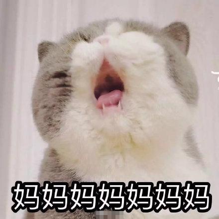 向父母讨钱的表情包合集妈给点钱呗