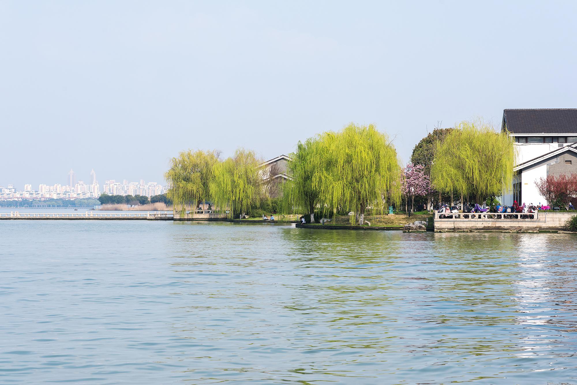 在全国率先全面建立河长制的江苏这三年解决了哪些河湖问题