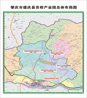肇庆市德庆县贡柑产业园:科学复兴贡柑种植产业预计2020年产值达到15.