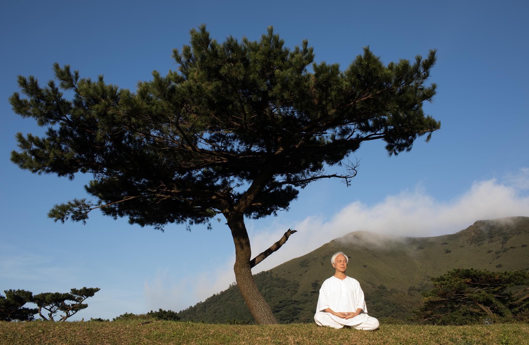 林谷芳在阳明山上打坐.