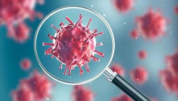 科学家发现冠状病毒具有不可逆地降低智力水平的能力 1 科学家发现冠状病毒具有不可逆地降低智力水平的能力