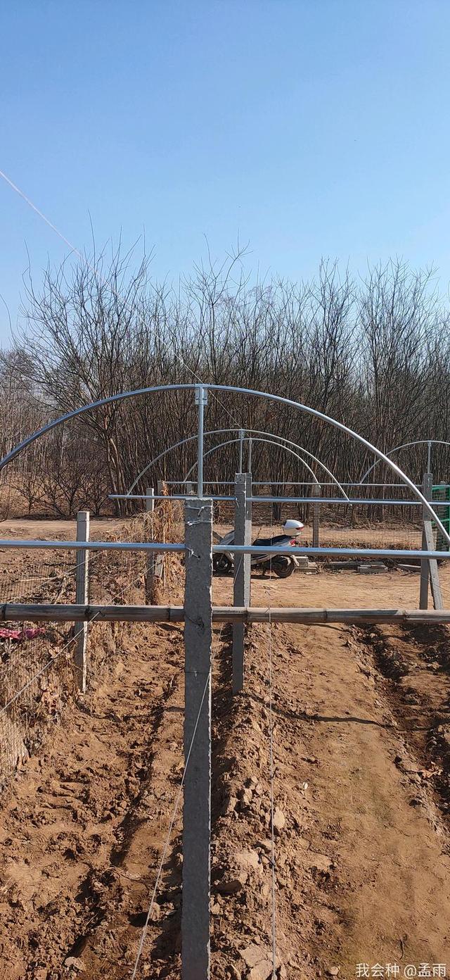 疫情期间,农户搭建简易避雨棚,网友:看着真结实,也很土豪