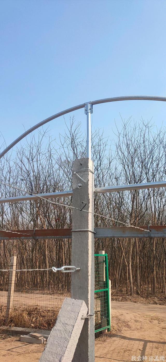 疫情期间,农户搭建简易避雨棚,网友:看着真结实,也很土豪