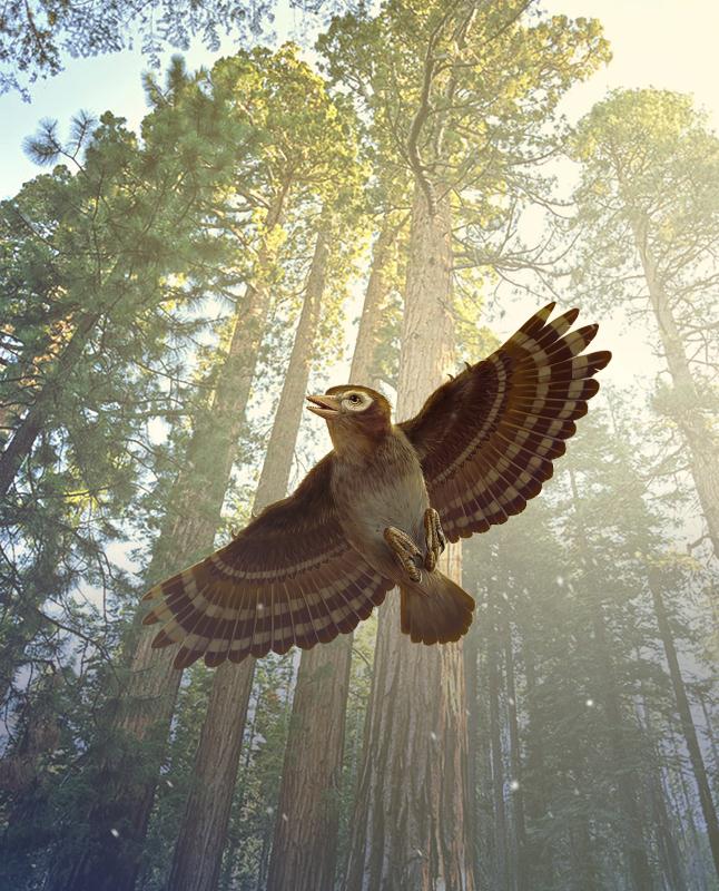 复原图。绘图/刘毅