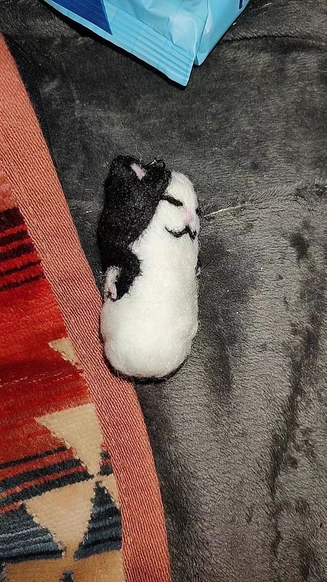 羊毛毡大型翻车现场