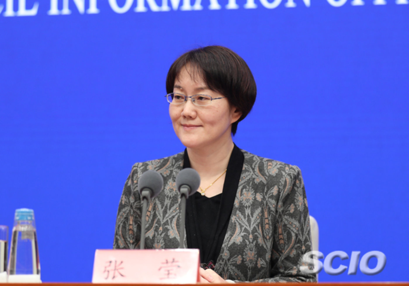 人力资源社会保障部就业促进司司长张莹(来源国新网)针对返工人员不足