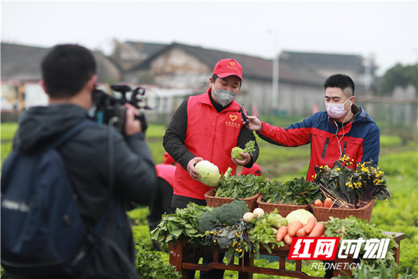 手机下单本地新鲜蔬菜配送到家 创新购物模式保市民“菜篮子”