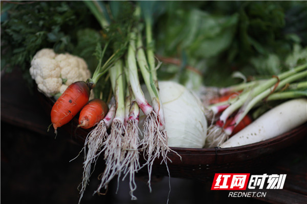 手机下单本地新鲜蔬菜配送到家 创新购物模式保市民“菜篮子”
