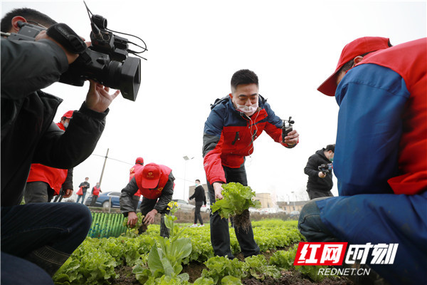 手机下单本地新鲜蔬菜配送到家 创新购物模式保市民“菜篮子”