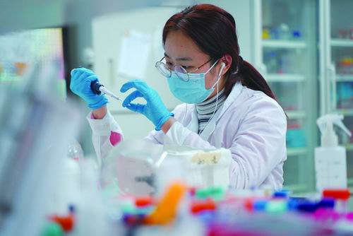 中科院上海巴斯德研究所科技攻关组科研人员正在开展工作。中科院上海巴斯德研究所供图