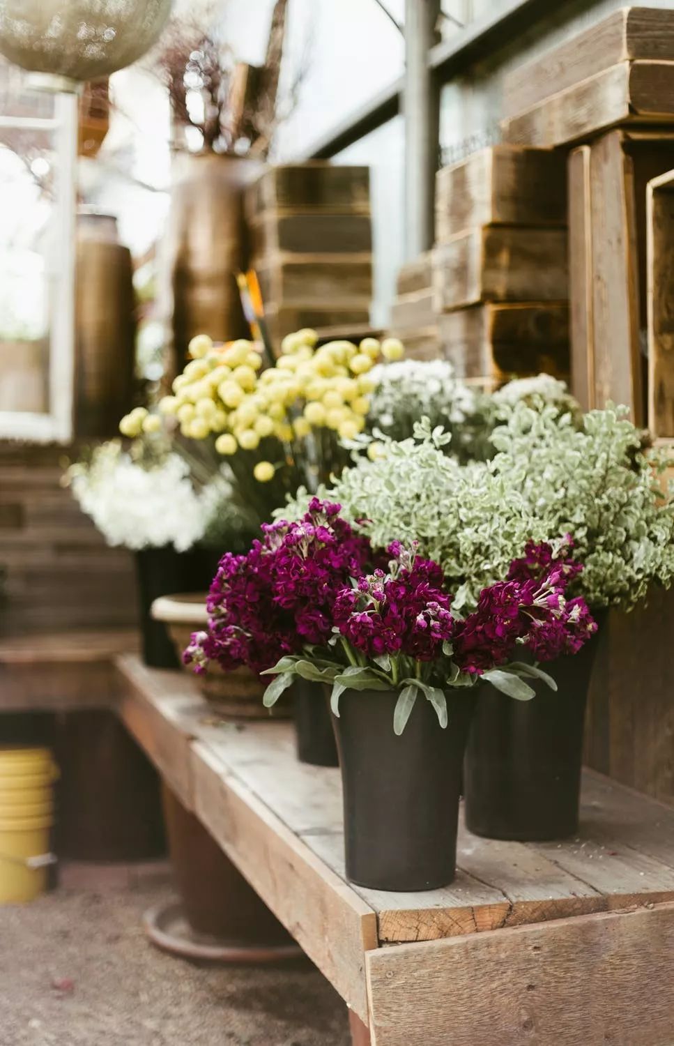 别闲,一闲就容易迷失在琐碎日常和人际关系中.