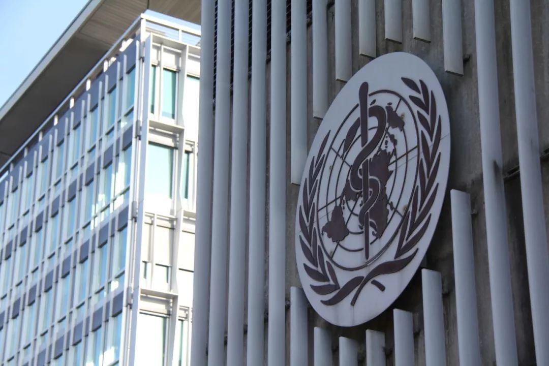 湖北新冠肺炎病例为何大幅增加?世卫组织这样解释|世卫组织|湖北_新浪