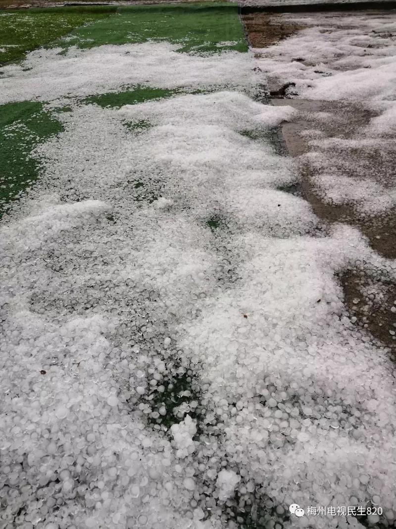 今天凌晨!平远八尺镇下了一场冰雹雨!
