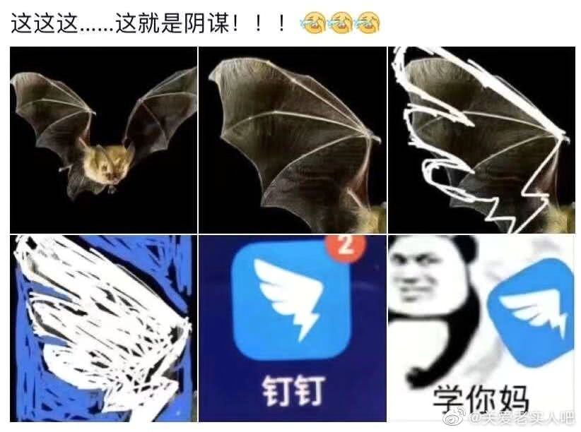 小学生出征寸草不生钉钉在苹果商店被小学生评成一星