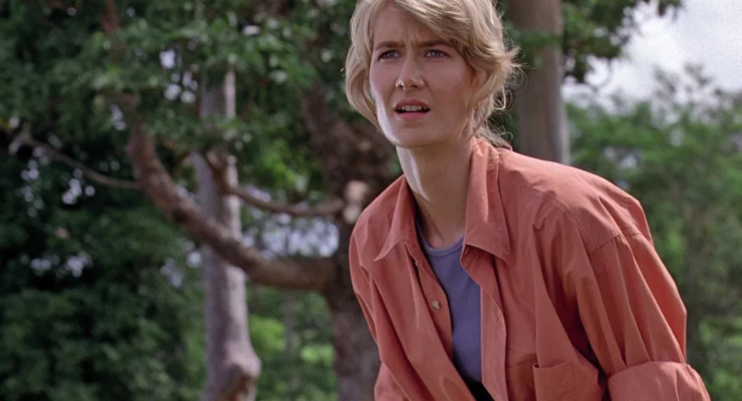 从25到53岁,她拿到了自己的奥斯卡奖杯|奥斯卡|大小谎言|劳拉·邓恩