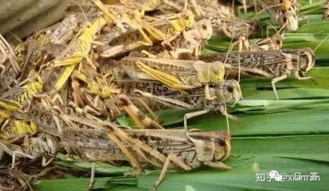 好联储梅斯特:正正在探究战开辟更快的领取零碎