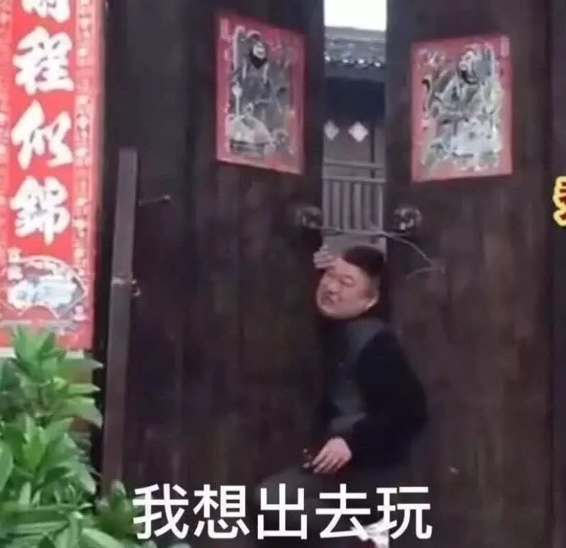 隔离20天后,我想去上班,更想出去玩