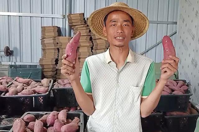 北京晚报联合拼多多全网征集农产品滞销信息,协助农户对接5亿消费者