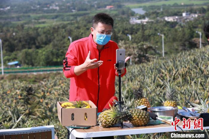 万宁市委书记贺敬平"客串"淘宝直播,推介当地特色水果龙滚菠萝.
