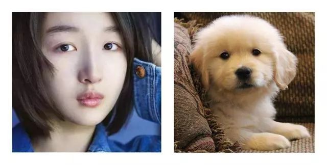 这种眼型被称为狗狗眼,拥有狗狗眼型的人看起来会很无辜,让人产生保护