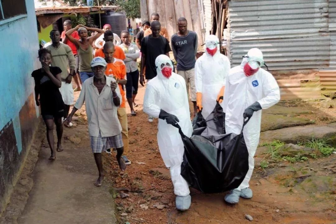 472人感染70人死亡又有新疫情在非洲爆发病毒的神秘远超人类认知