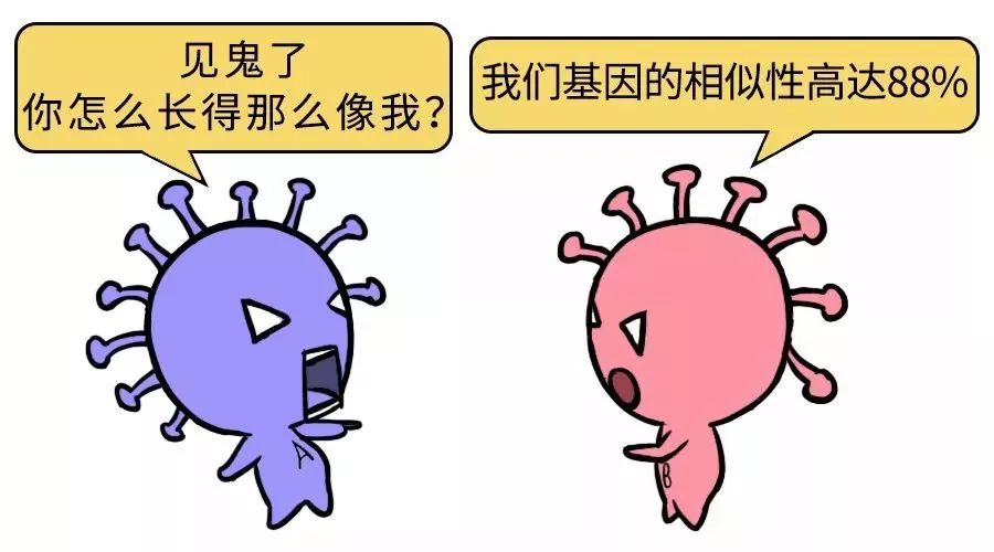 冠状病毒附着在汽车内饰上，到底能活多久？